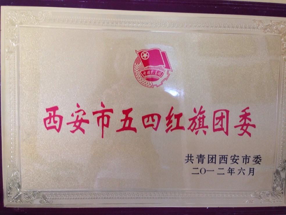 西安市五四红旗团委