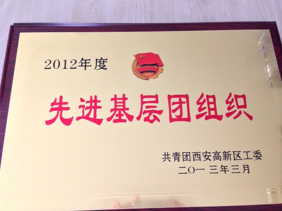 先 进基层团组织