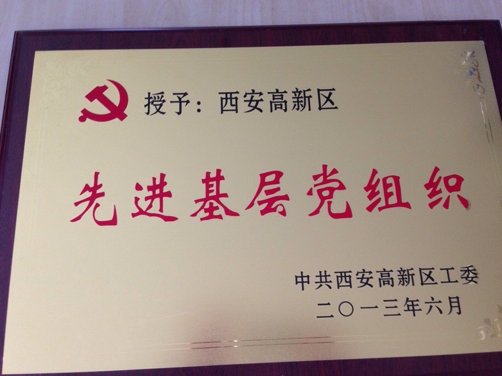 高新区先 进基层党组织