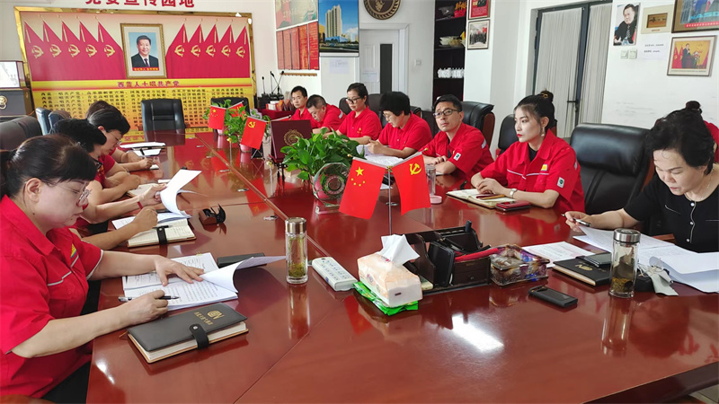 西蓝集团召开项目审计工作分析会